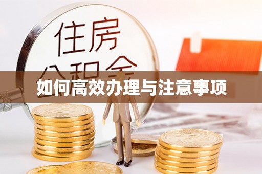 徽州如何高效办理与注意事项