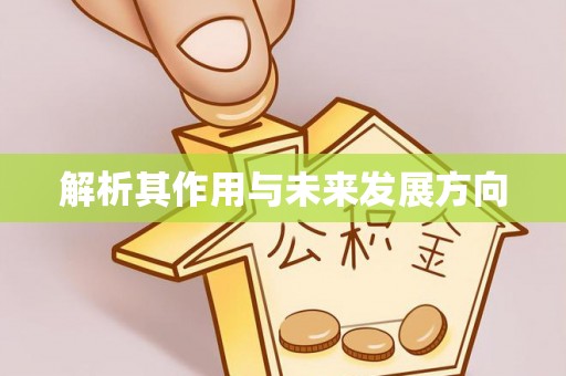 徽州解析其作用与未来发展方向